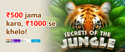Daily VIP Cashback Reward promotion